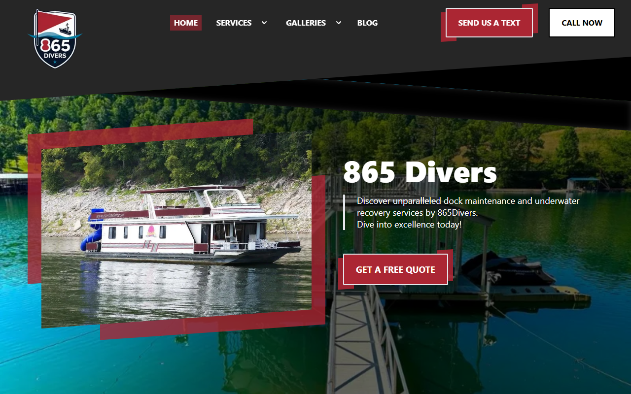 865diverstn.com screenshot