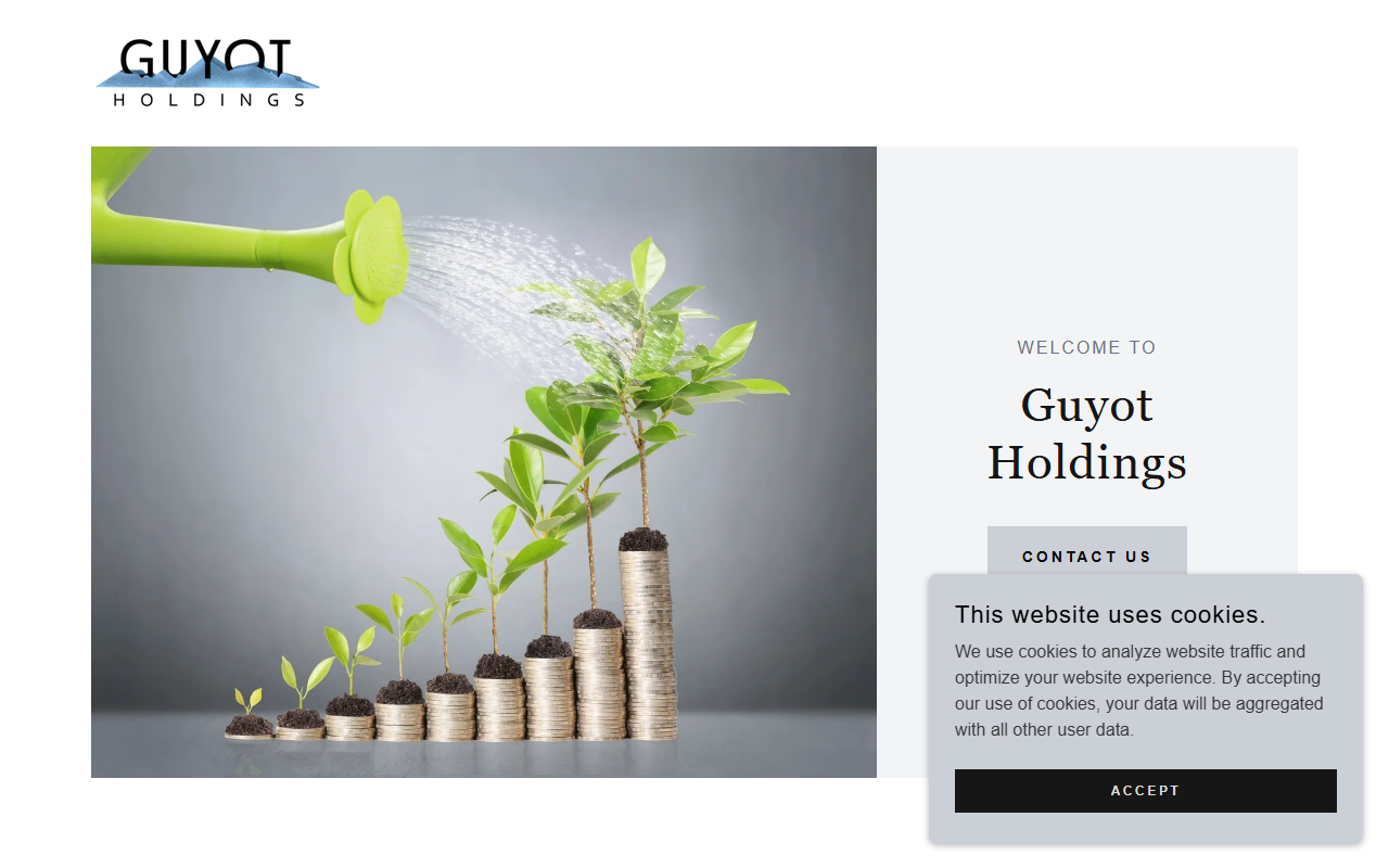 865holdings.com screenshot
