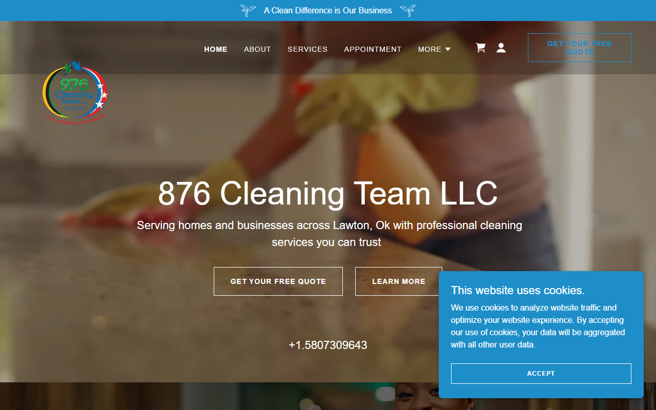 876cleaningteam.com screenshot