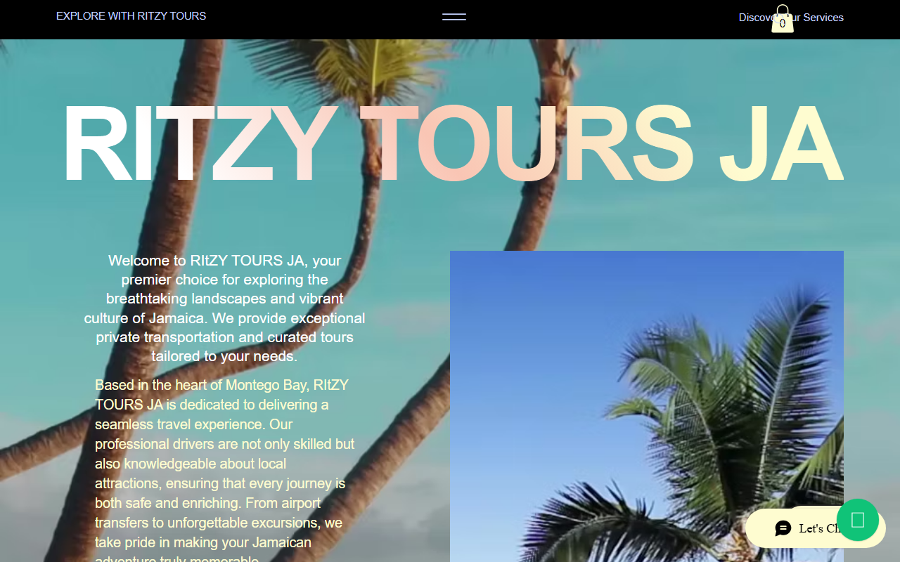 876ritzytoursja.com screenshot