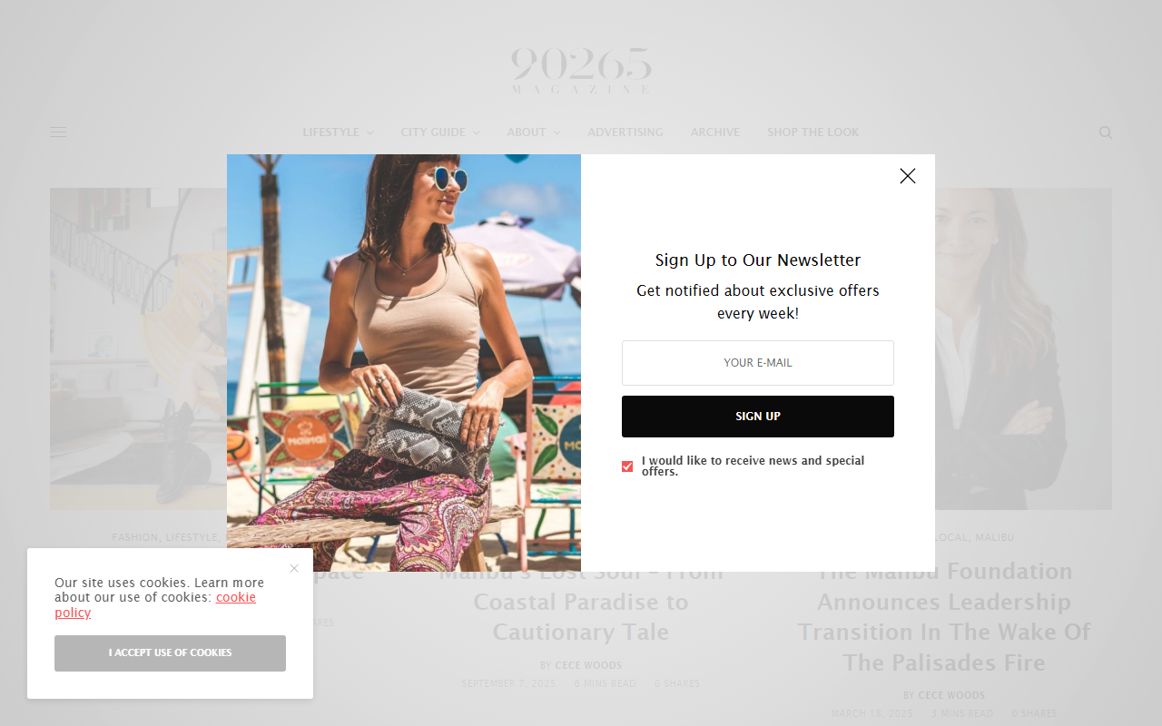90265magazine.com screenshot