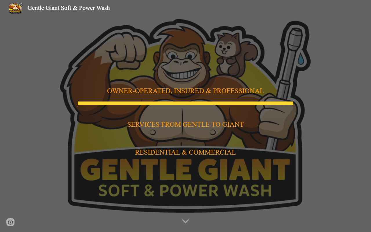 904giant4u.com screenshot