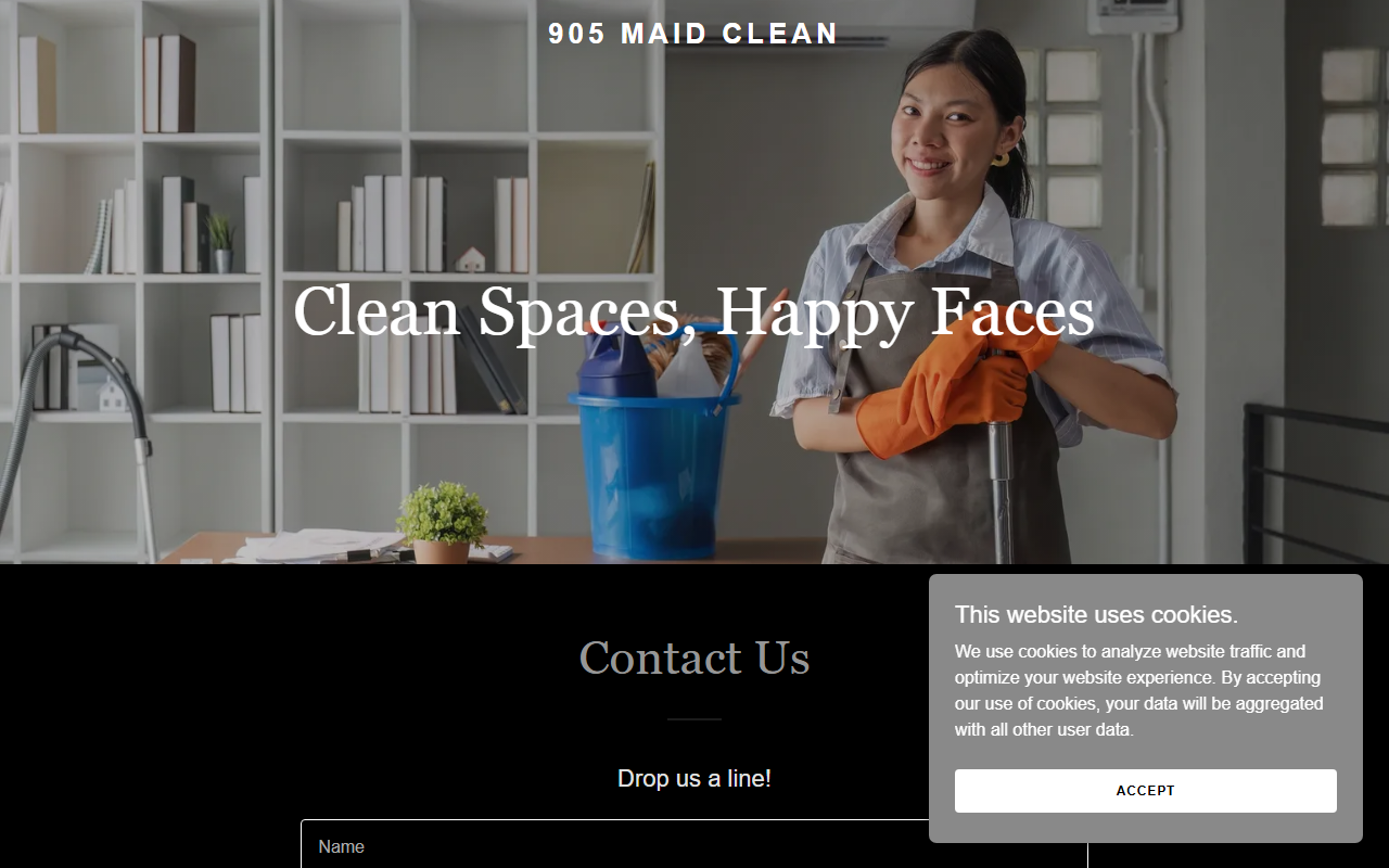 905maidclean.com screenshot