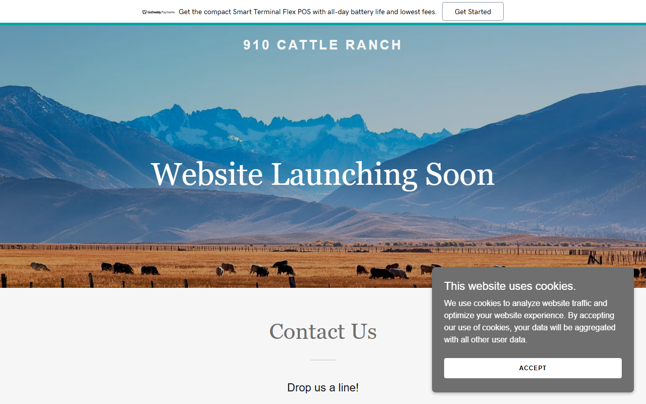 910cattleranch.com screenshot