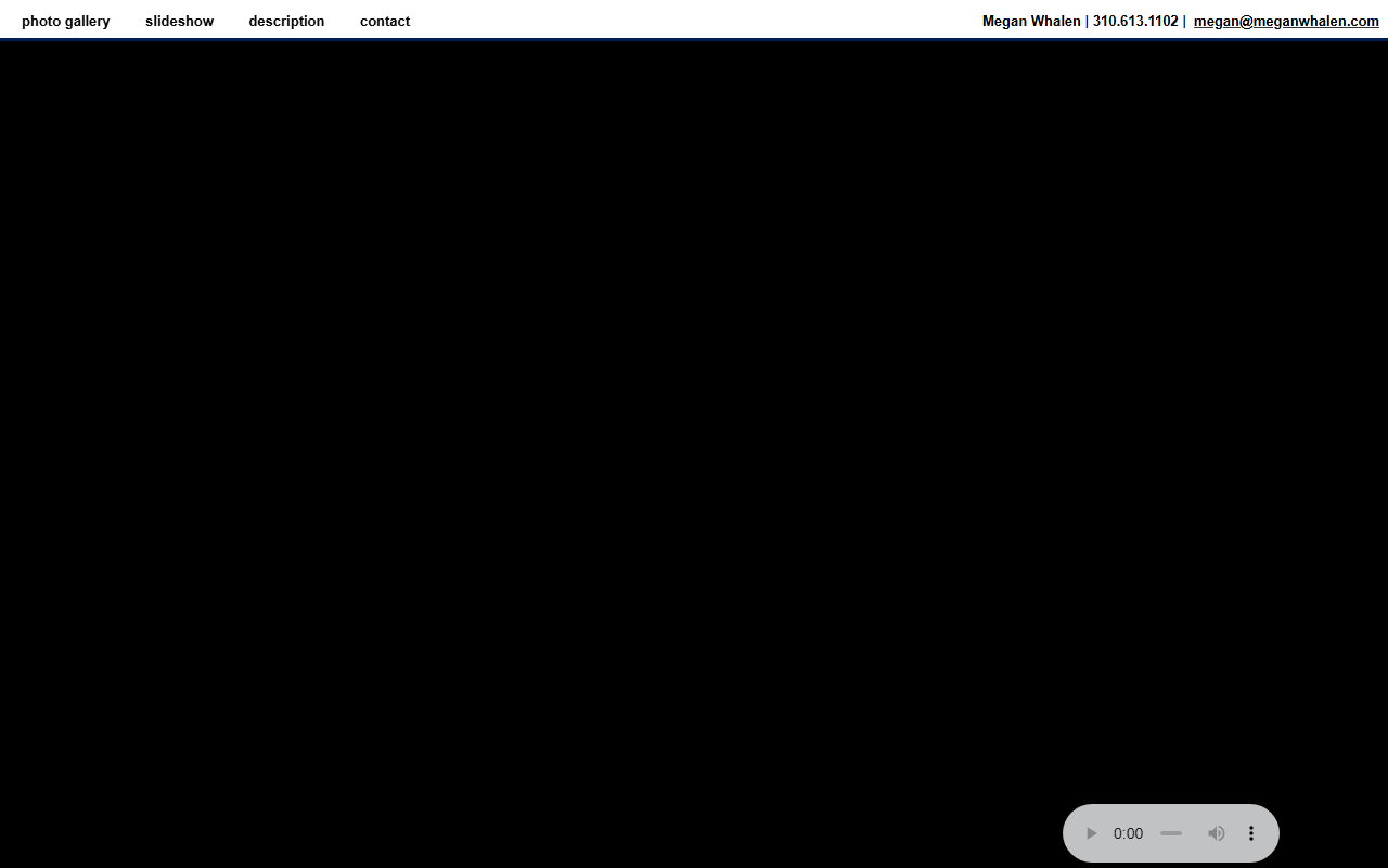 914lincoln307.com screenshot