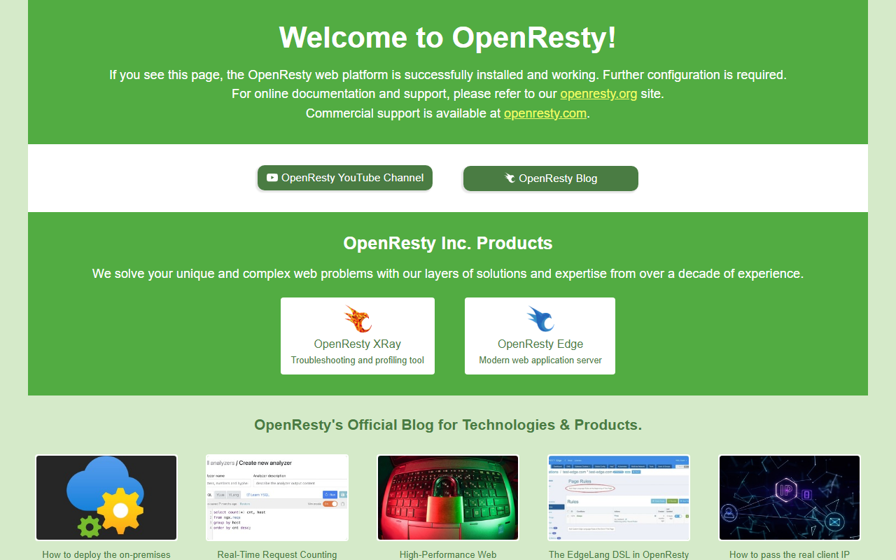 9153janicepl.com screenshot