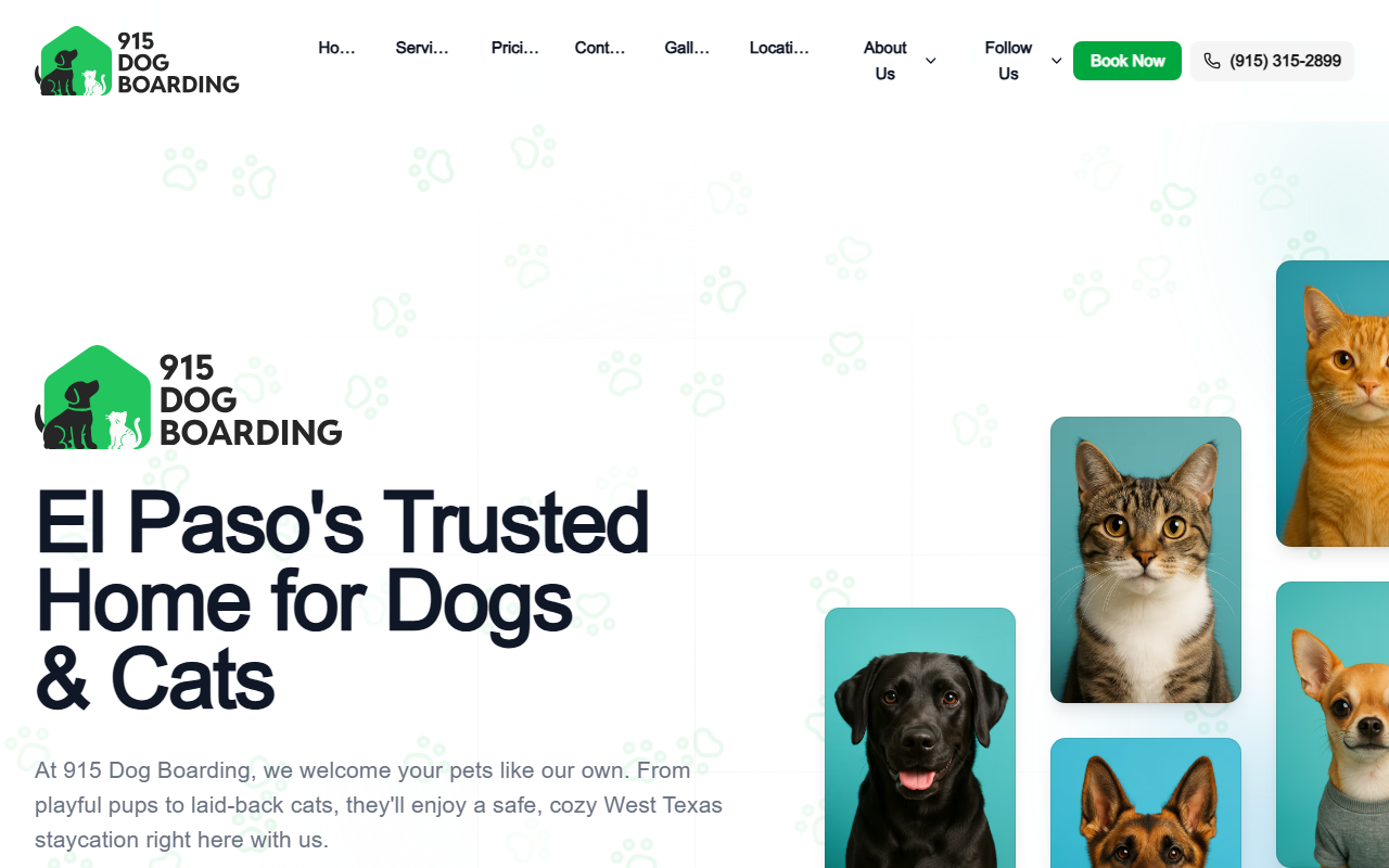 915dogboarding.com screenshot