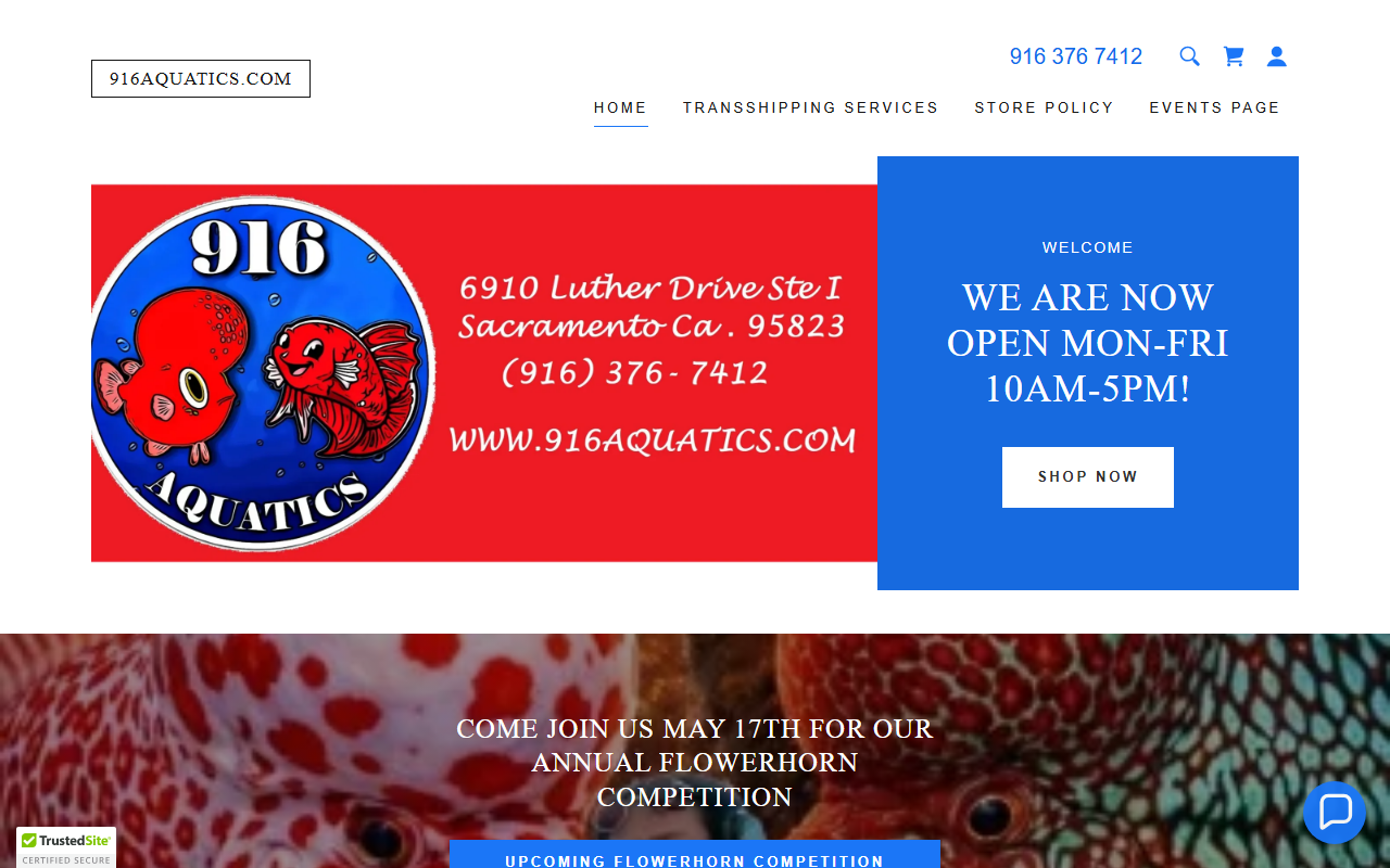 916aquatics.com screenshot
