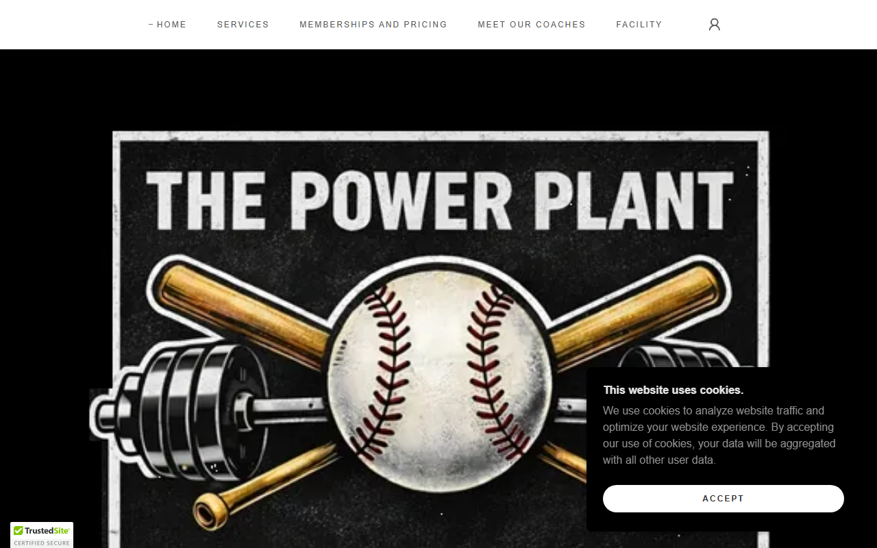 916elitebaseball.com screenshot
