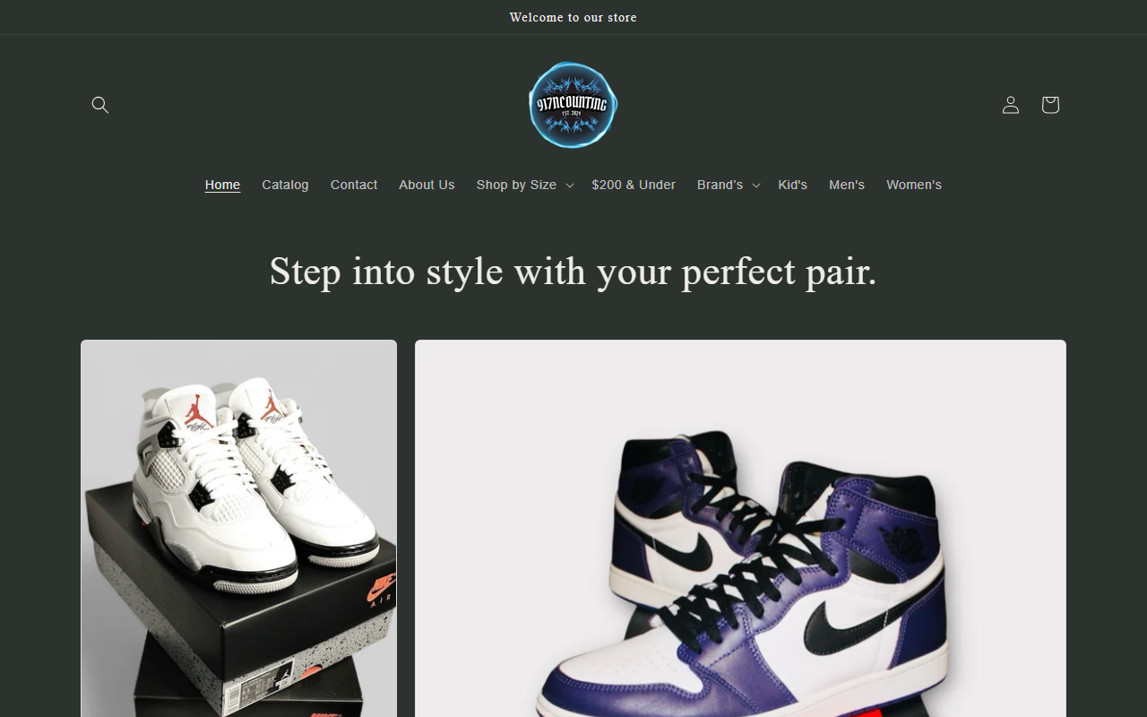 917ncounting.com screenshot