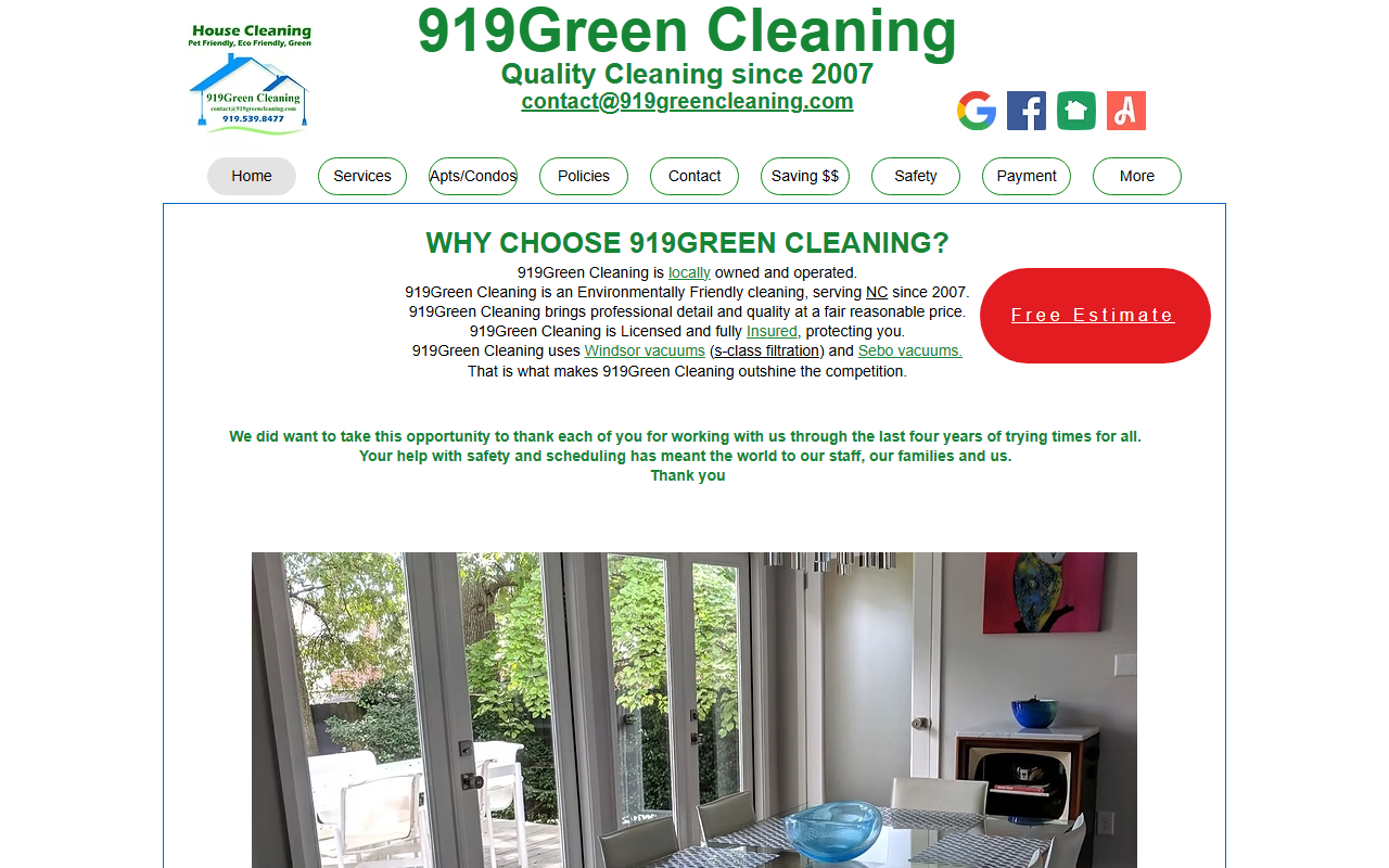 919greencleaning.com screenshot