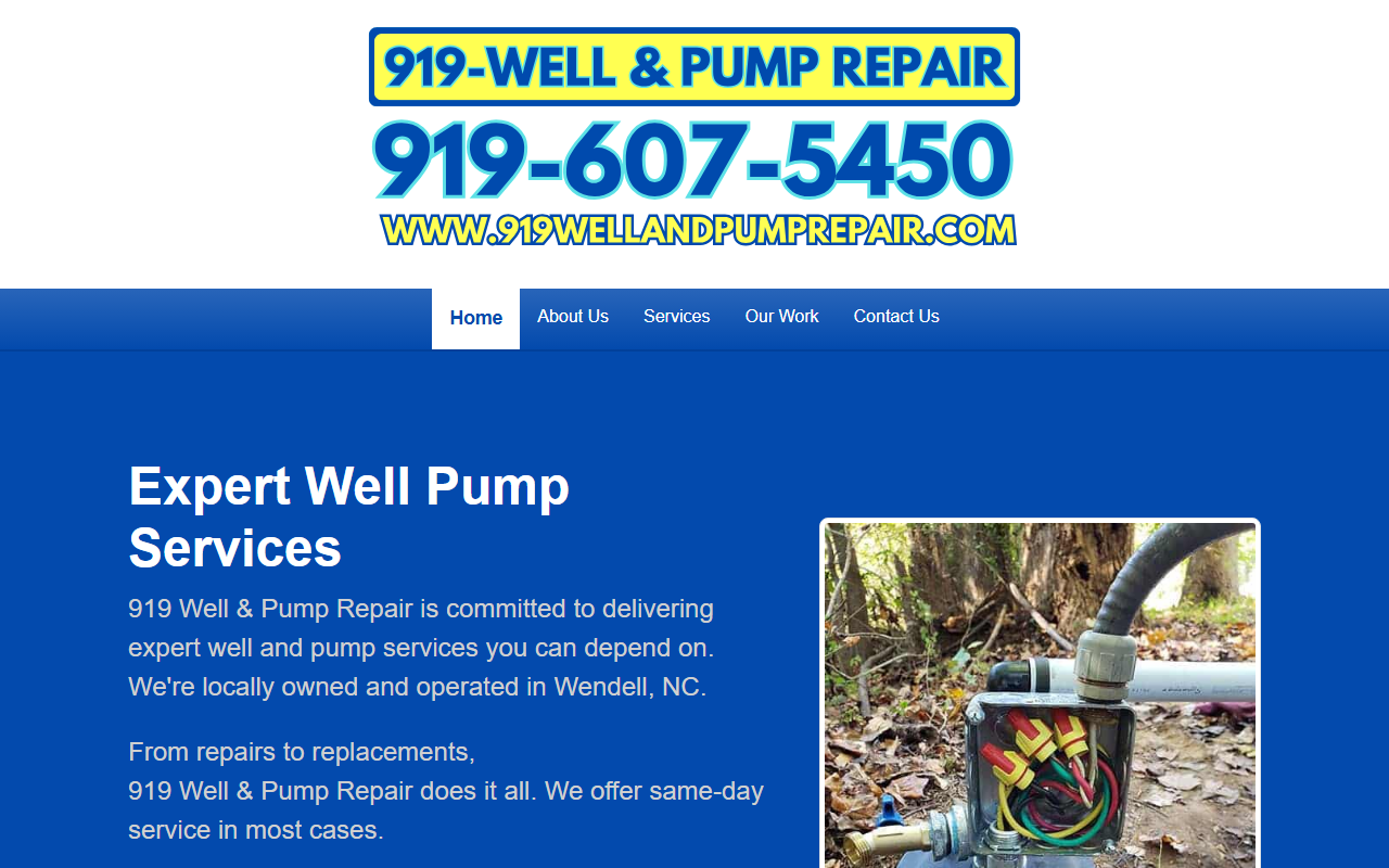 919wellandpump.com screenshot