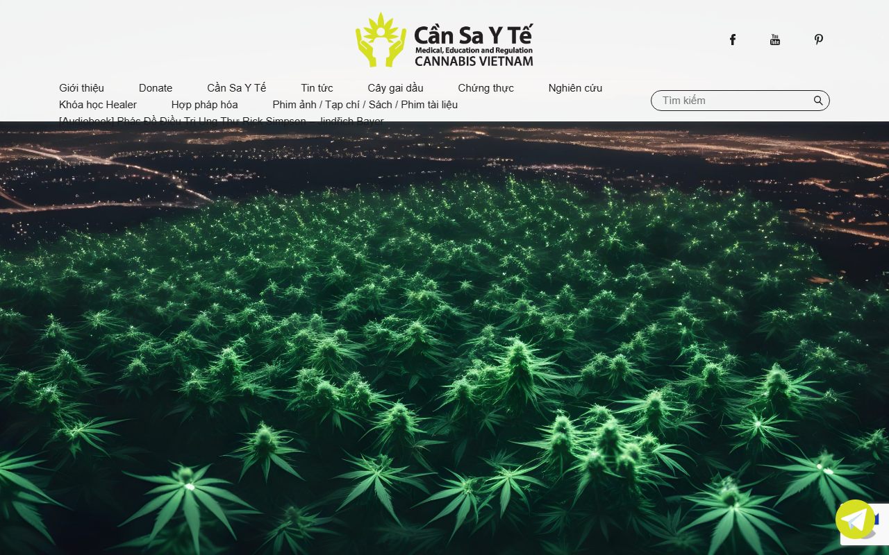 920vietnam.com screenshot