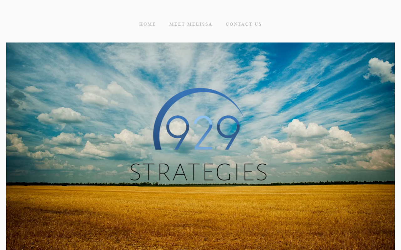 929strategies.com screenshot