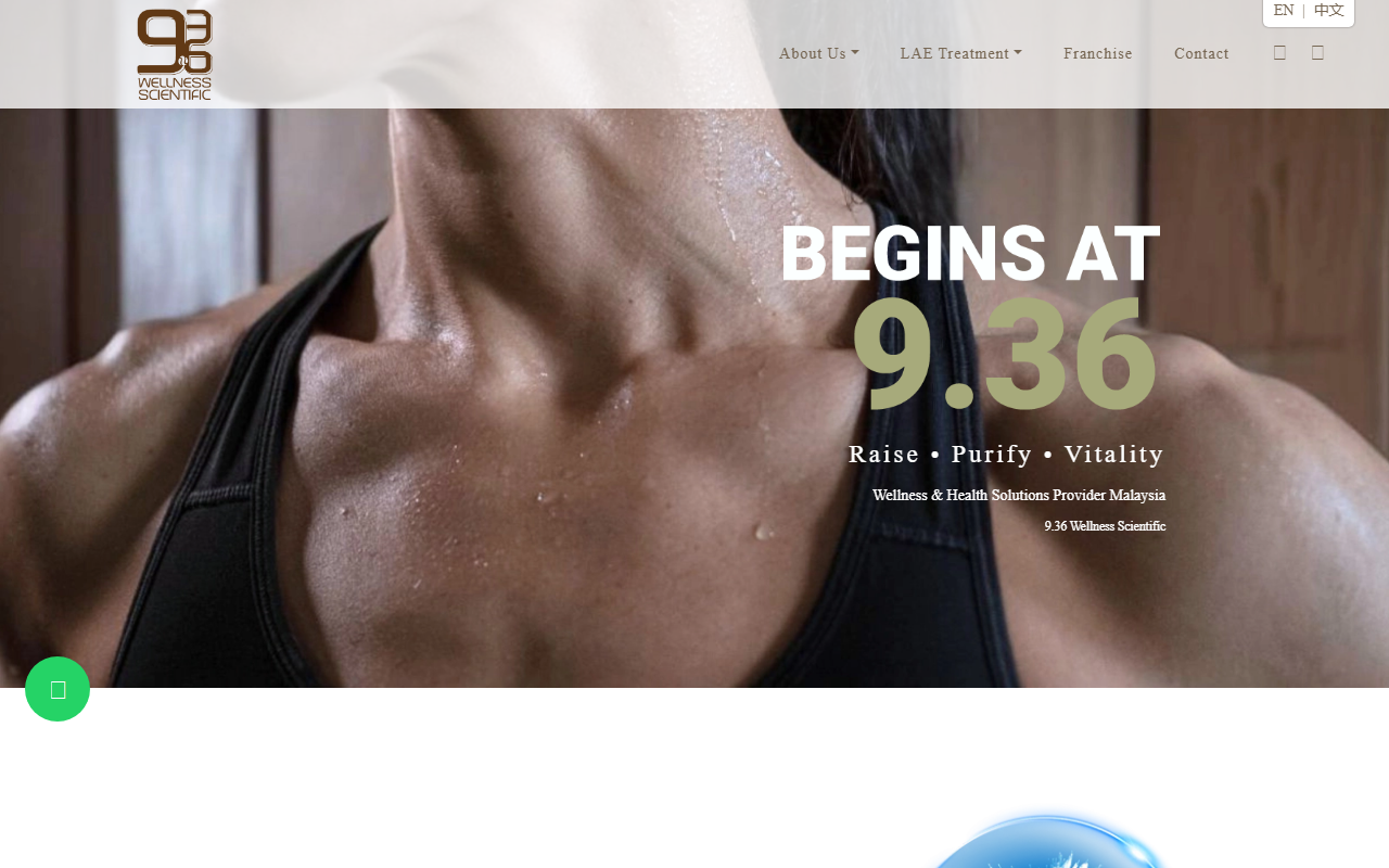 936wellness.com screenshot
