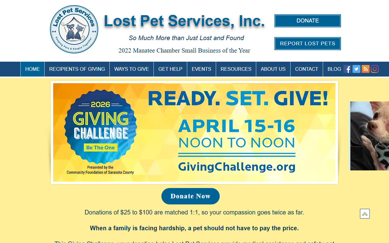 941lostpets.com screenshot