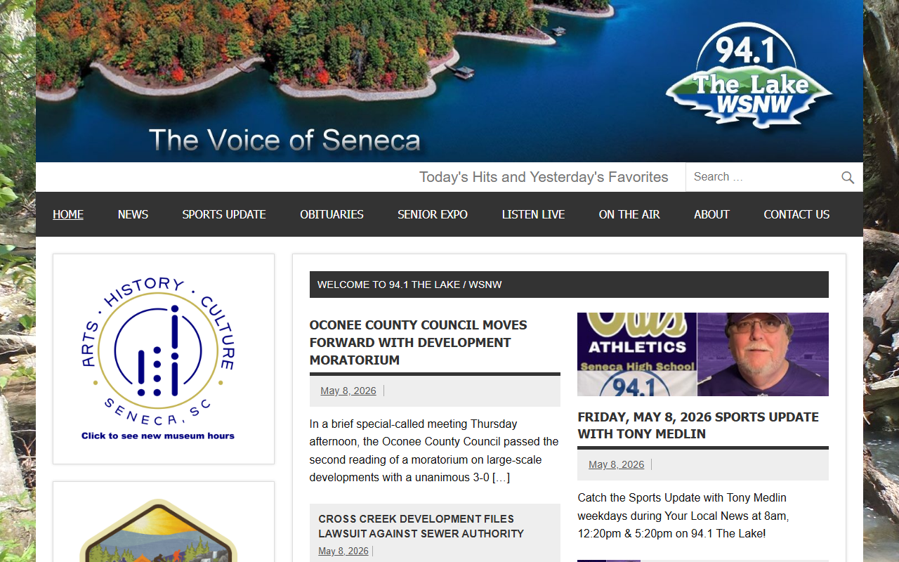 941thelake.com screenshot