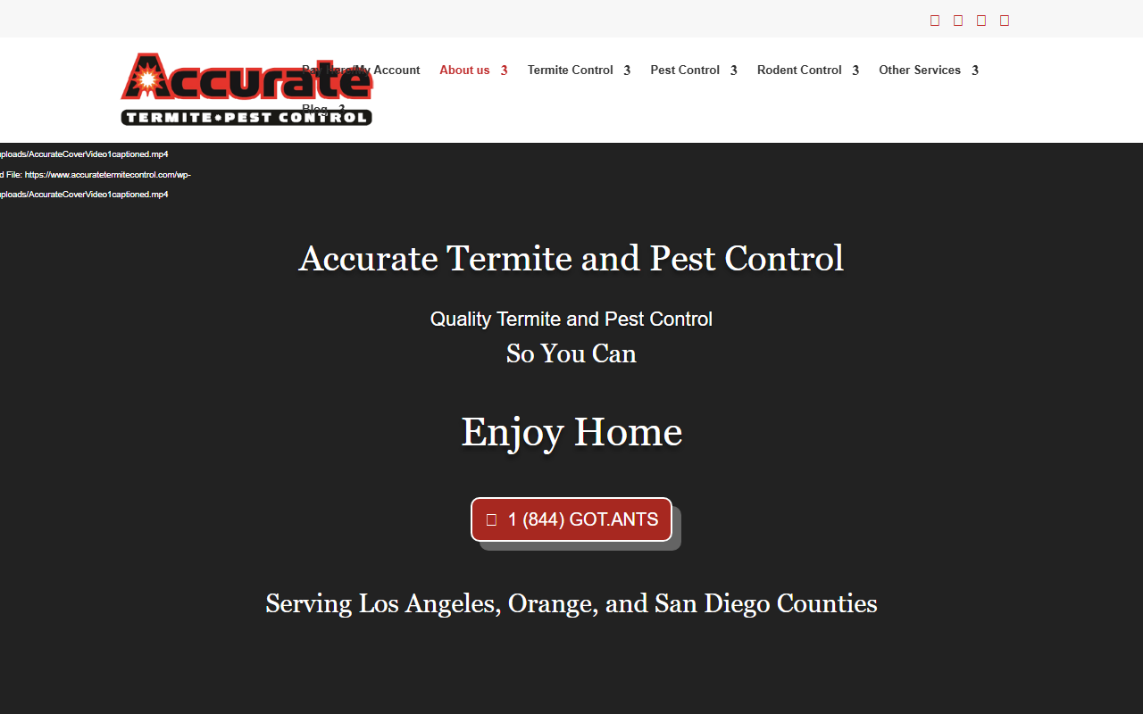 949termite.com screenshot