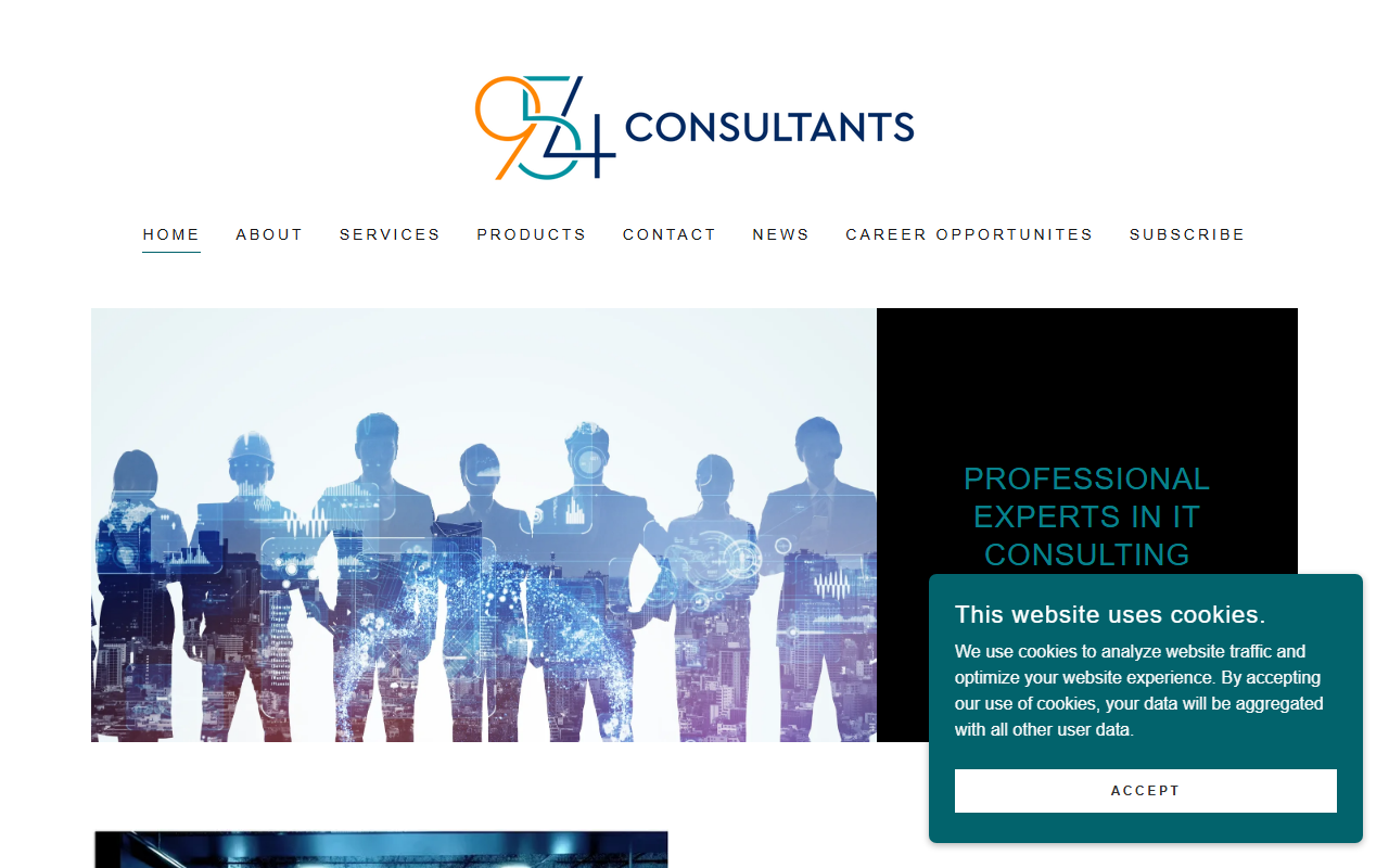 954consultants.com screenshot