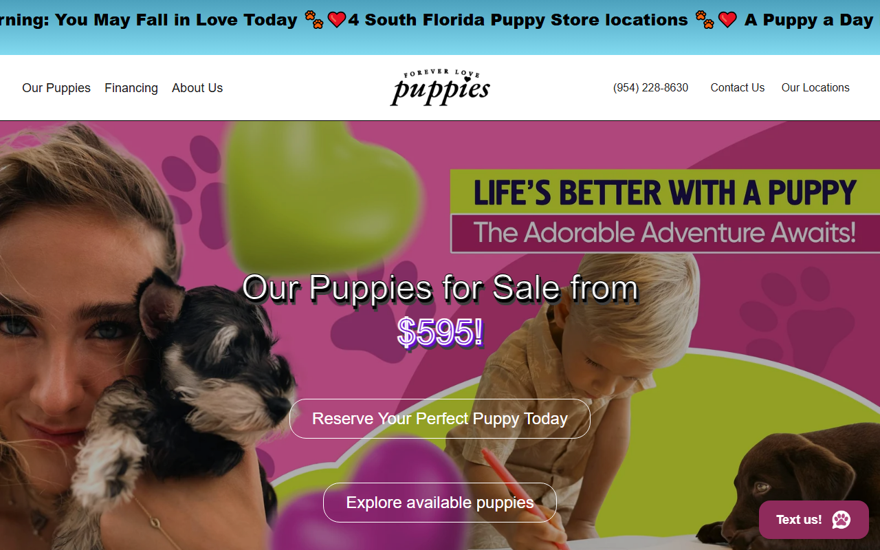 954puppies.com screenshot