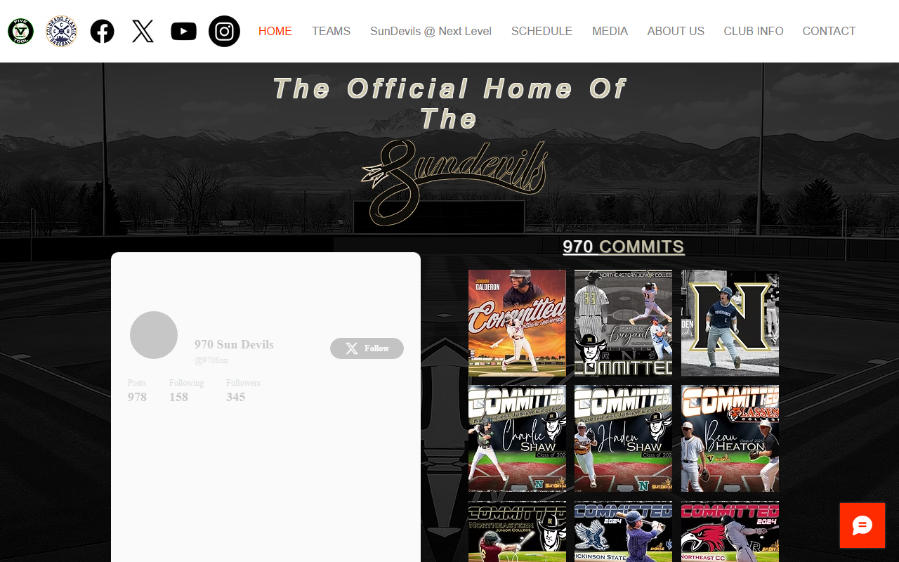 970baseball.com screenshot