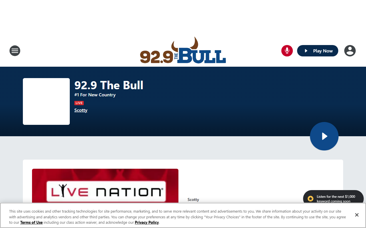 971thebull.com screenshot