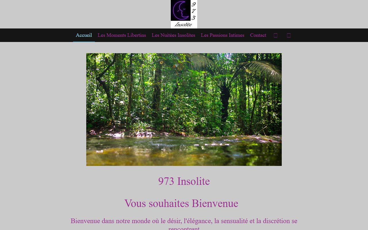 973-insolite.com screenshot
