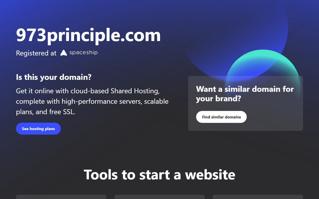 973principle.com screenshot