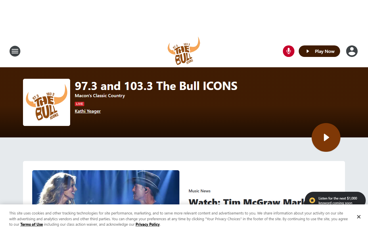 973thebull.com screenshot